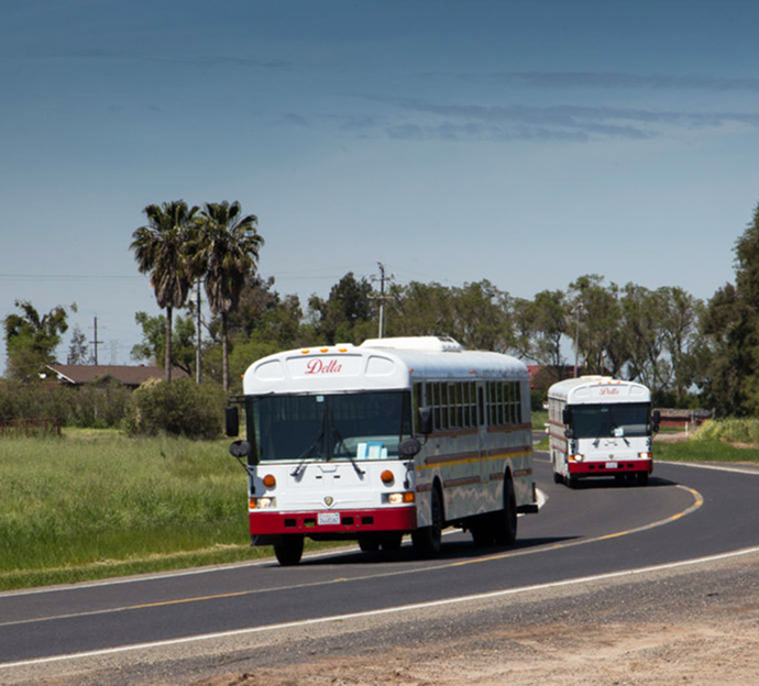 School-buses-on-road